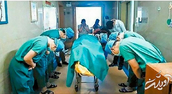 چند خبر خوب برای تنوع چند خبر خوب برای تنوع